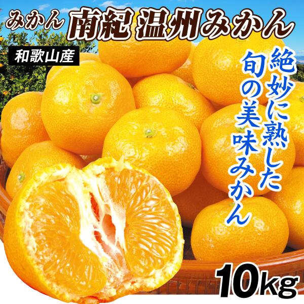 和歌山県産　紀州南高梅‼️10kg　みかんキング JA紀南 みかん 木熟みかん S〜Mサイズ 10kg×1箱 送料無料 お歳暮にも