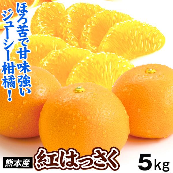 みかん 5kg 紅はっさく 熊本産 ご家庭用 紅八朔 八朔 柑橘 果物