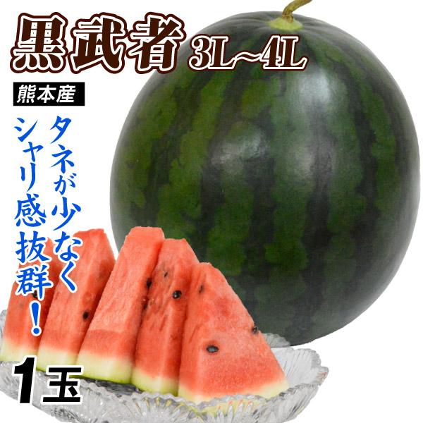 すいか 黒武者 熊本産 1玉 3L〜4L 送料無料 食品 国華園