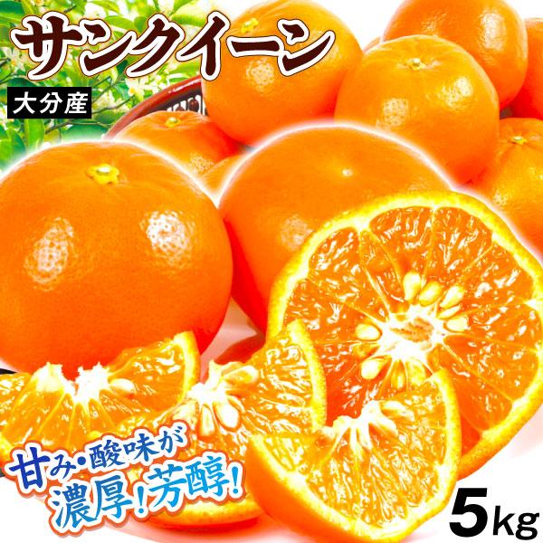 みかん 5kg 大分産 サンクイーン 柑橘 蜜柑 セミノール 送料無料 食品