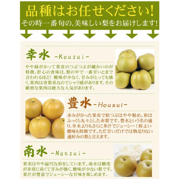 梨 数量限定 山形産 ご家庭用 庄内おまかせ和梨 5kg 1箱 送料無料 和梨 赤梨 品種おまかせ 幸水 豊水 国華園 Buyee Buyee บร การต วกลางจากญ ป น ซ อจากประเทศญ ป น