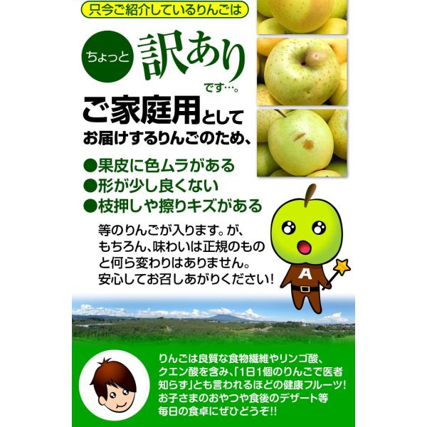 りんご 青森産 とき 訳あり(10kg)林檎 ご家庭用 数量限定 黄金りんご トキ 希少品種 シャキシャキ 国華園 /【Buyee】 りんご 青森産 とき 訳あり(10kg)林檎 ご家庭用 数量限定 黄金りんご トキ 希少品種 シャキシャキ 国華園 /【Buyee】