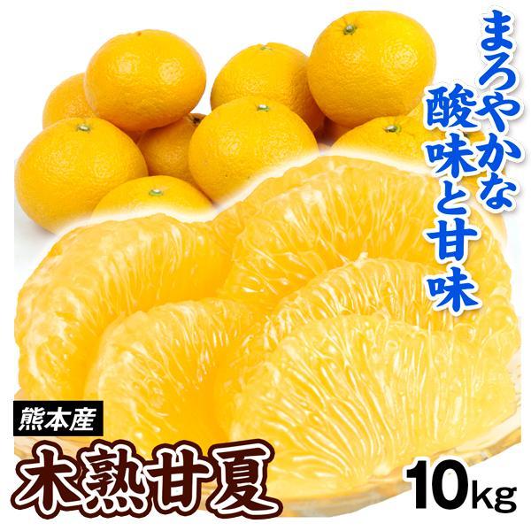 みかん 木熟甘夏 10kg 熊本産 ご家庭用 送料無料 食品 : 食 みかん 木熟甘夏 10kg 熊本産 ご家庭用 送料無料 食品 : 食