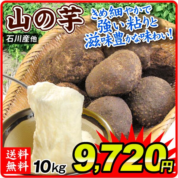やまいも 石川産他 山の芋 10kg 1箱 送料無料 食品 国華園 S Fs3053 1 食みらい 国華園 通販 Yahoo ショッピング
