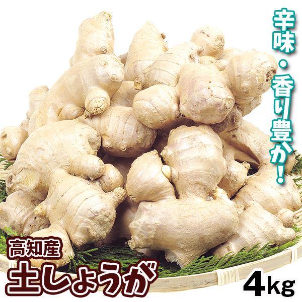 しょうが 高知産 土しょうが 4kg 送料無料 食品 :s-fs3054:食みらい・国華園 - 通販 - Yahoo!ショッピング