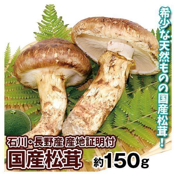 松茸 国産 約150g 最高級 天然 信州産 岡山産 つぼみ・中つぼみ・開き