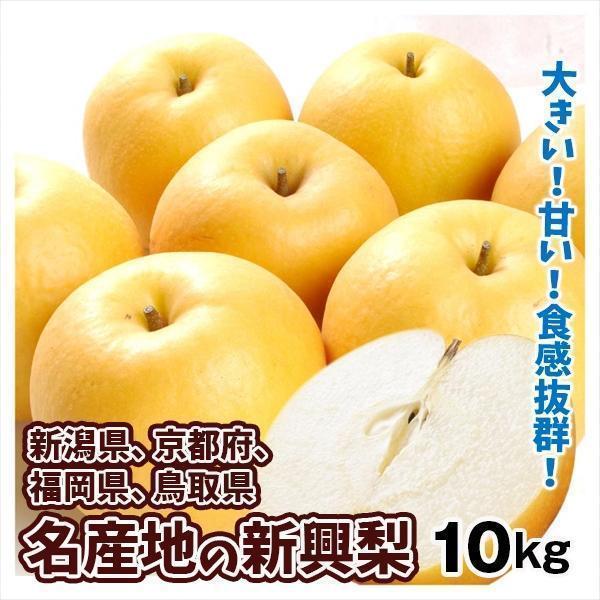 洋梨 プレコース 10kg (1kg＝3-5個)