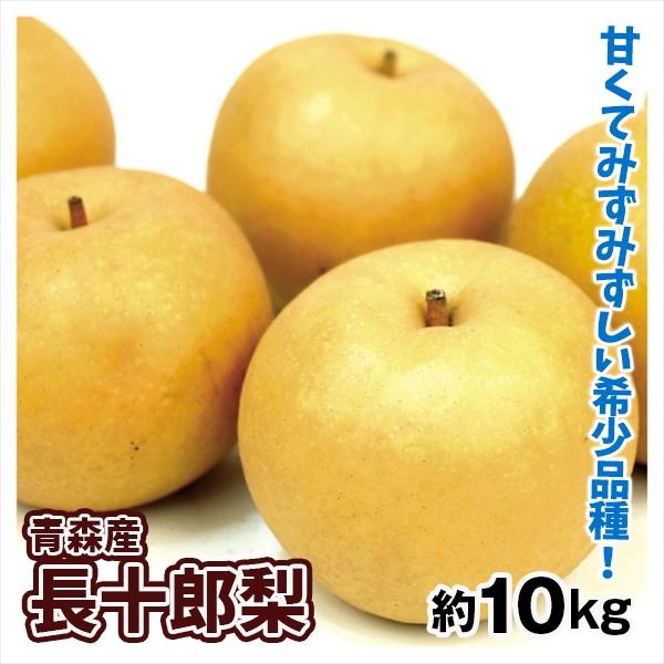 梨 約10kg 長十郎梨 青森産 ご家庭用 送料無料 食品 : 食みらい