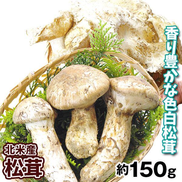 松茸 約150g 北米産 松茸(1〜3本)1箱 冷蔵便 ご家庭用 送料無料 まつたけ 海外 食品 野菜 国華園 :s-fs3411:食みらい・国華園 - 通販 - Yahoo!ショッピング 松茸 約150g 北米産 松茸(1〜3本)1箱 冷蔵便 ご家庭用 送料無料 まつたけ 海外 食品 野菜 国華園 :s-fs3411:食みらい・国華園 - 通販 - Yahoo!ショッピング