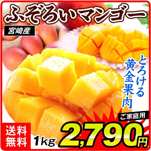 食品 宮崎産 ふぞろいアップルマンゴー 1kg 1組 南国フルーツ 国華園 S Fs3421 食みらい 国華園 通販 Yahoo ショッピング