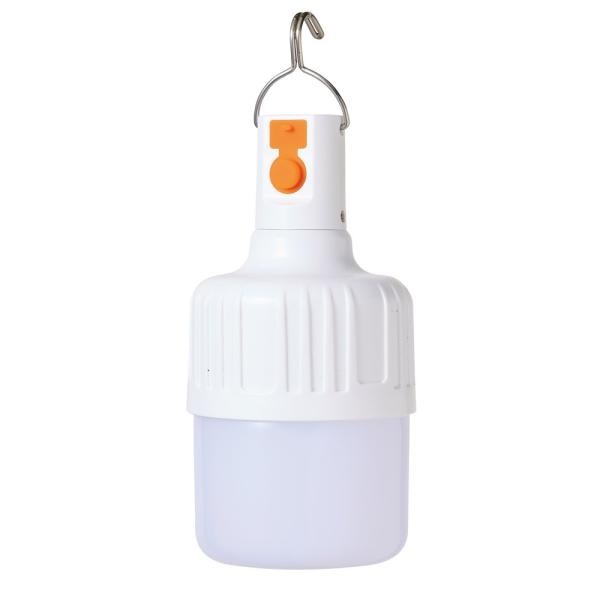 stbV_ŋ@\tA㖾邳2iK؂ւtCVO |[^uLEDCg(80126)