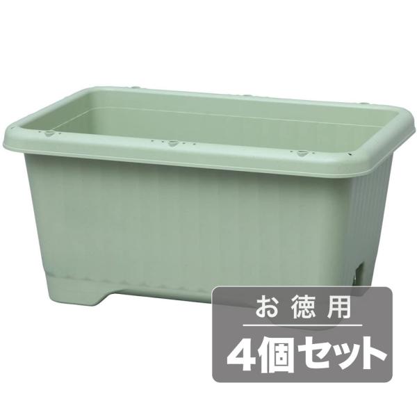 s^[bVƃGA[glŁAC̒ʂ蓹܂tACXI[} xW^uv^[530(py25.0L)xW^uO[(4Zbg)