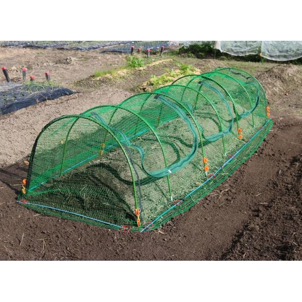 ネット　４ｍ×４ｍ 81jun5eodKL._AC_SY200_QL15_.jpg