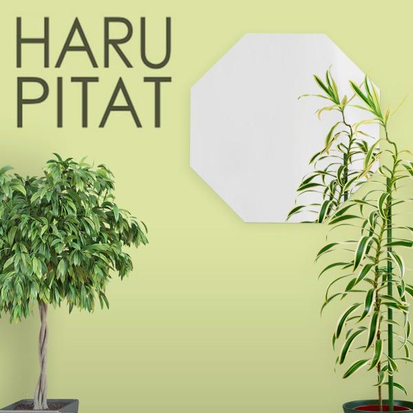 j[͂҂ 280×280mm |  V[ RpNg  tB mt[ Sg Z[teB~[ tFNX~[ hƃ~[ hƋ p Ȃ