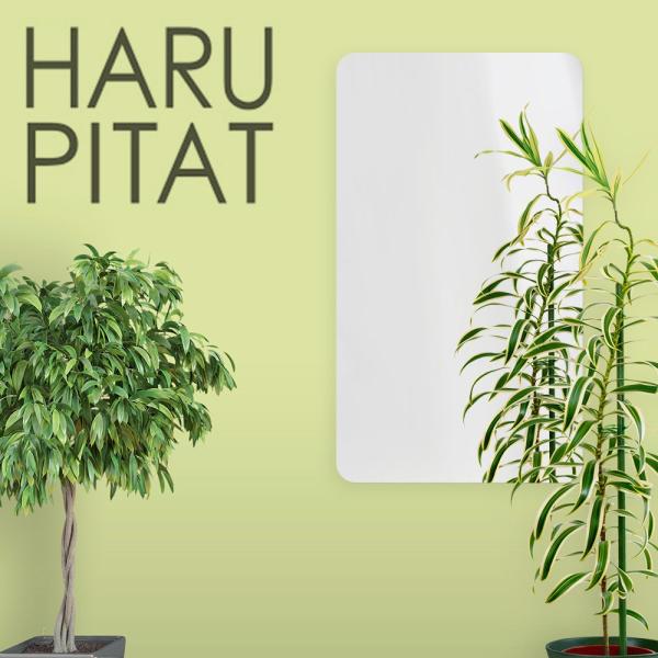 j[͂҂ 430×210mm |  V[ RpNg  tB mt[ Z[teB~[ tFNX~[ hƃ~[ hƋ  y Ȃ