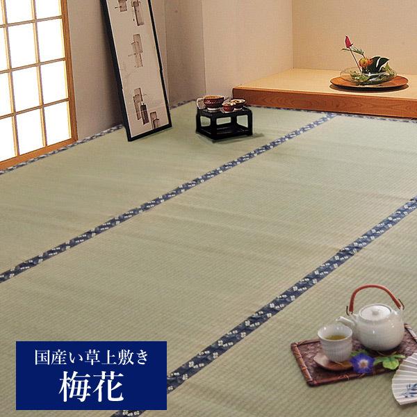 Y  ~ J[ybg ]ˊ6 261×352cmu ~ v (#P105136)~ J[ybg ~  C 