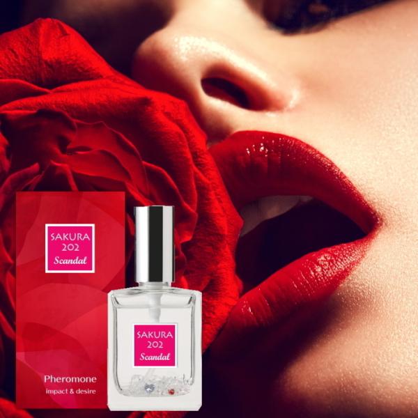 �T�N��202�X�L�����_�� ���e���� �� �M�� ���f�@�U�f ���� ���f�B�[�X ���j�Z�b�N�X �t�F���������� �����p sexy �T�N���Q�O�Q