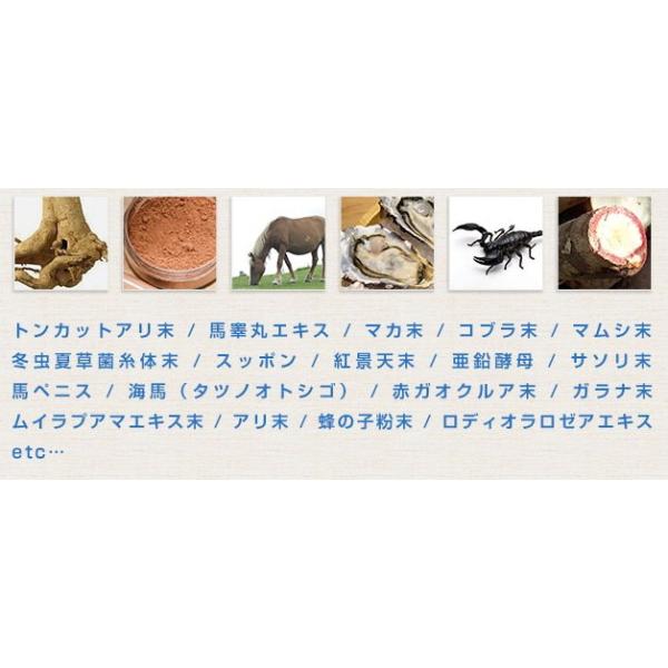 Genetic Blade X ジェネティックブレイド X タツノオトシゴ シトルリン 亜鉛 スッポン サソリ末 馬ペニスエキス 馬睾丸エキス 健康応援サプリメント Buyee 日本代购平台 产品购物网站大全 Buyee一站式代购 Bot Online