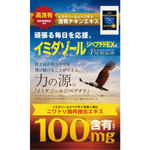 y90×2Zbg̔zC~_][Wyv`h v~A ی{GLX C~_][Wyv`h AZ]JmVܗL