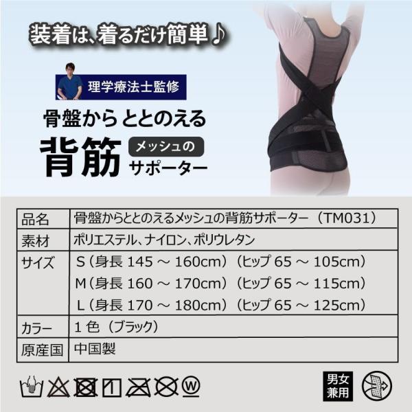 骨盤からととのえるメッシュの背筋サポーター 背筋を伸ばす 腰痛サポート 肩甲骨 姿勢 補正 矯正 背筋ベルト 骨盤補正 猫背 ぽっこりお腹