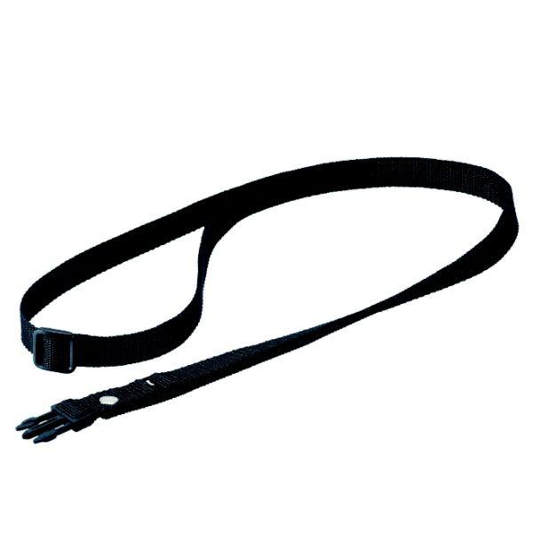 m{d@ Cj[Kz^tpʔXgbv NZ-306 (NZ306)