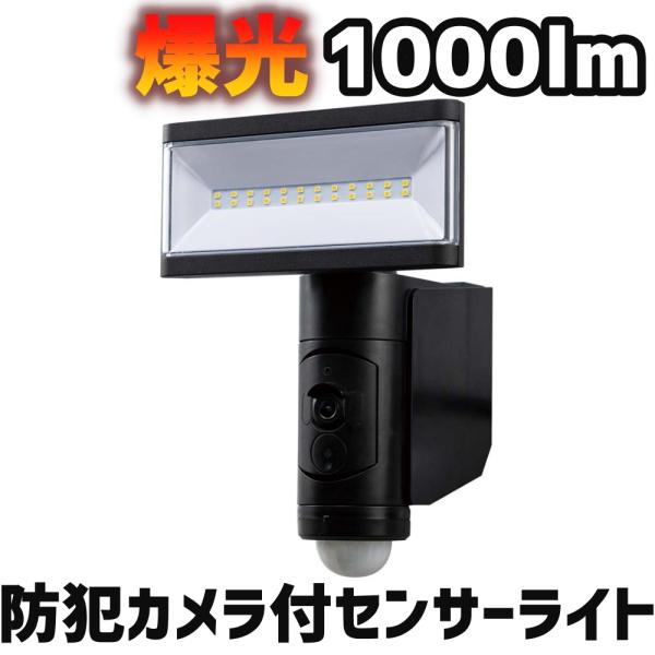 デルカテック　カメラ付きLEDセンサーライト DSLD10CC1 DSLD10CC1 カメラ付LEDセンサーライト 1灯型 検知範囲180度 全光束