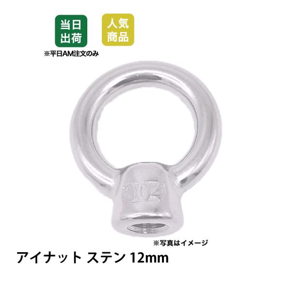 アイナット 12mm ステンレス SUS304 吊りナット 荷役 吊り上げ 吊りクランプ スリング 荷締機