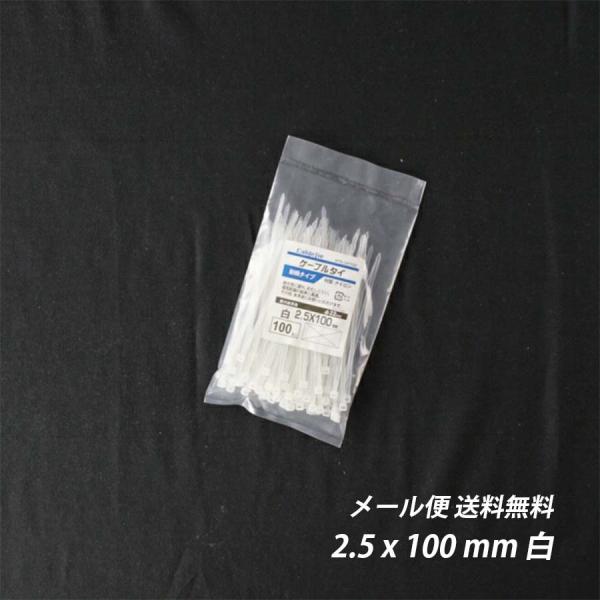 結束バンド 2.5x 100 mm 白 ケーブルタイ まとめる 送料無料 電気工事用 ナイロン 配線 束ねる 縛る インシュロック 配線整理 園芸用品 園芸農業資材