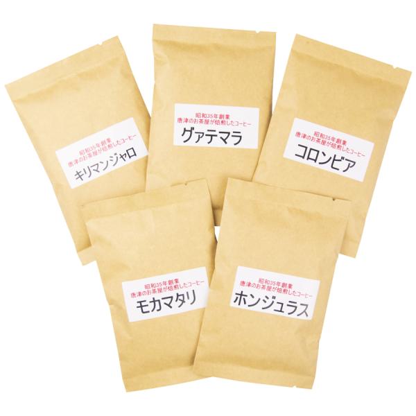 自家焙煎 コーヒー豆 5種類 100g×5袋お試しセット　