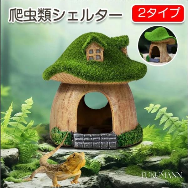 爬虫類用飼育ケージ ハンドメイド　横幅60cm　シェルター　バスキング台　餌入れ 爬虫類用飼育ケージ ハンドメイド 横幅60cm シェルター バス