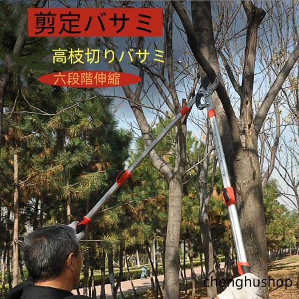 刈込鋏 10点 まとめて 剪定鋏 枝切り鋏 園芸道具 楽天市場】鋼付ステンレス刈込鋏180mm A-16 ( 剪定ばさみ 枝きり
