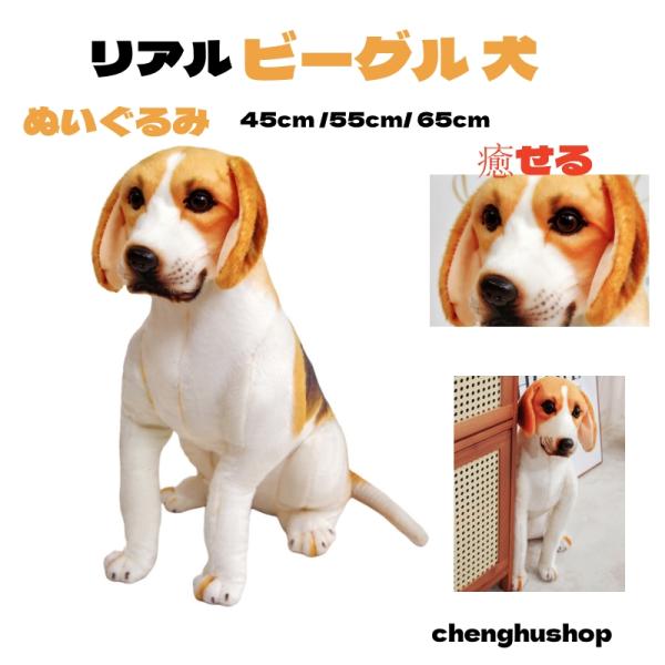 seikoyahuusyoppu_qi1354a