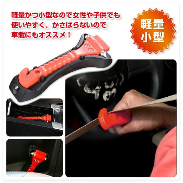 seikoyahuusyoppu_qi2031_2_d_20260820121049