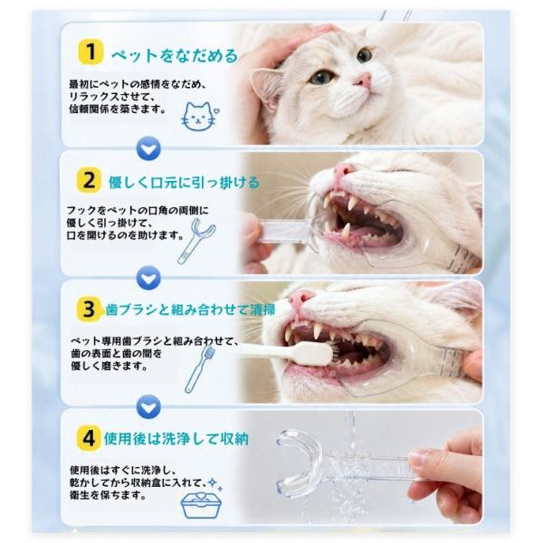 seikoyahuusyoppu_qi2058_2_d_20260901155938