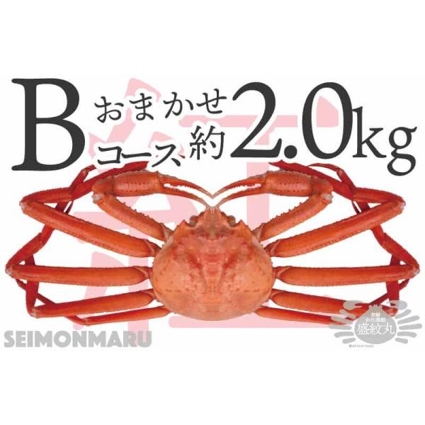 紅ズワイガニ[冷凍] おまかせBコース 約2kg : 盛紋丸 - 通販