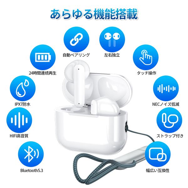 seinan_r2n_3_d_20250905182301