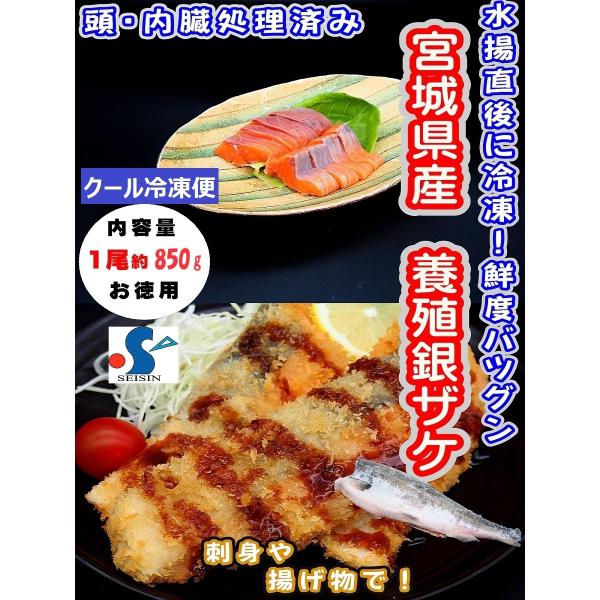 サーモン様　4点まとめ サーモン様 4点まとめ gin_01.jpg