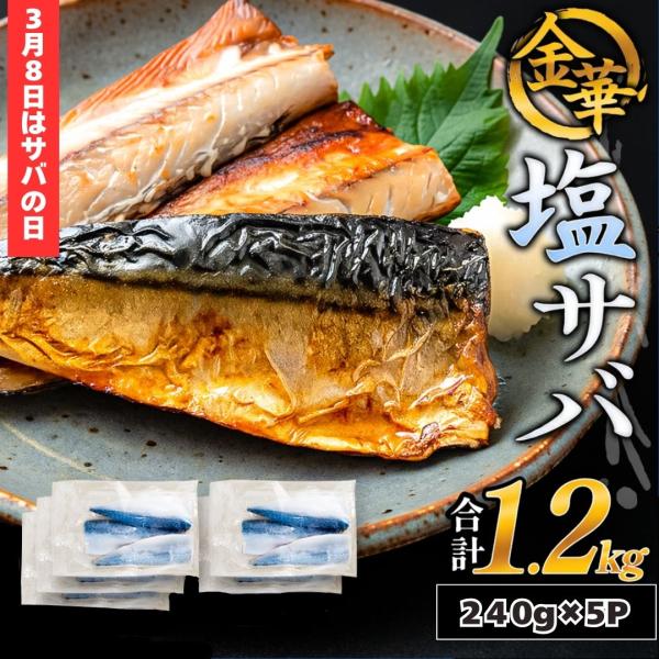 金華塩サバ 半身15枚 約1.2kg 宮城県石巻産 金華さば 塩サバ 冷凍 焼き魚 国産 お取り寄せ