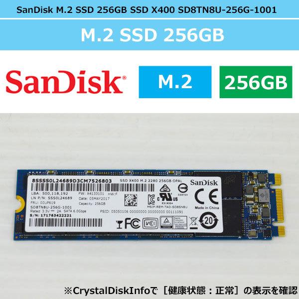 SanDisk（サンディスク） 健康状態正常 SanDisk M.2 SSD Type 2280
