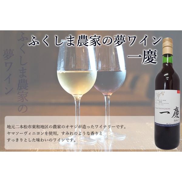 農家の夢ワイン  一慶 ヤマソービニオン 赤ワイン【一慶2023】250ml | ふくしま農家の夢ワイン