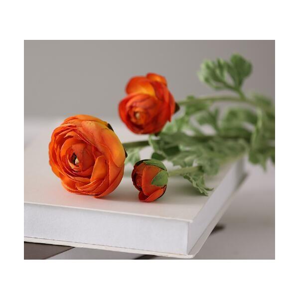 u IuWF CeA G u   rO[ a v[g v`Mtg kAeB[N  o A241