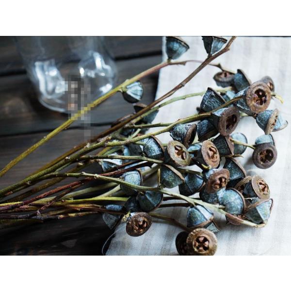 hCt[ [J u IuWF CeA G u a v[g v`Mtg kAeB[N  o