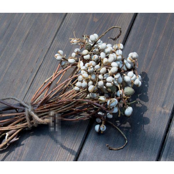 hCt[ u IuWF CeA G u a v[g v`Mtg kAeB[N  o