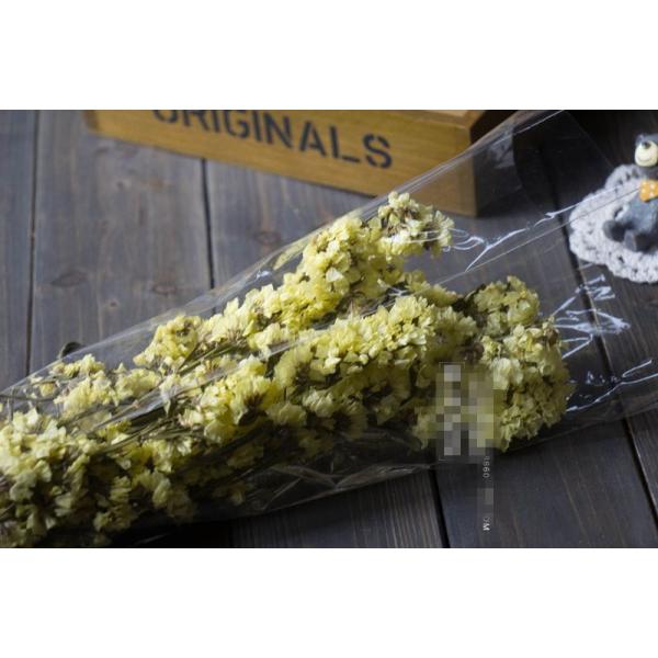 hCt[ u IuWF CeA G u a v[g v`Mtg kAeB[N  o