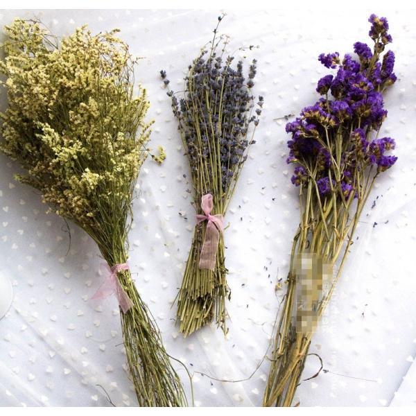 hCt[ u IuWF CeA G u a v[g v`Mtg kAeB[N  o