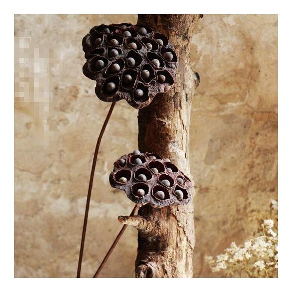 hCt[ u IuWF CeA G u a v[g v`Mtg kAeB[N  o