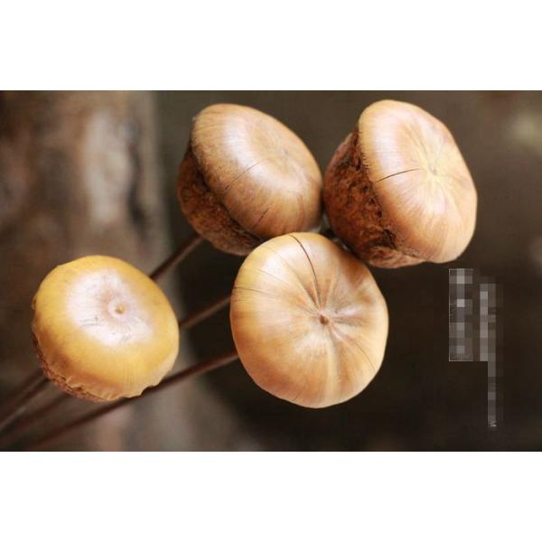 hCt[ u IuWF CeA G u a v[g v`Mtg kAeB[N  o