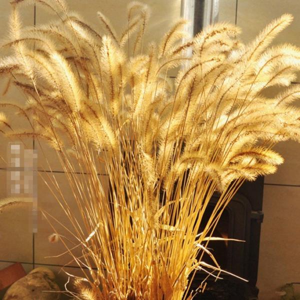 hCt[ u IuWF CeA G u a v[g v`Mtg kAeB[N  o