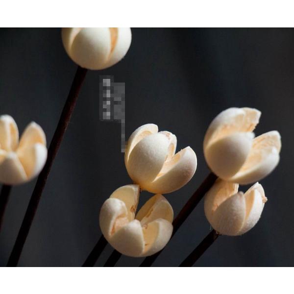 hCt[ u IuWF CeA G u a v[g v`Mtg kAeB[N  o