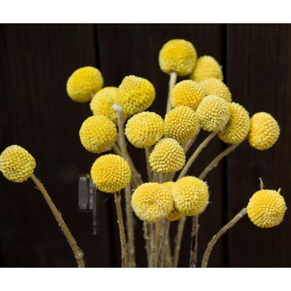 hCt[ u IuWF CeA G u a v[g v`Mtg kAeB[N  o